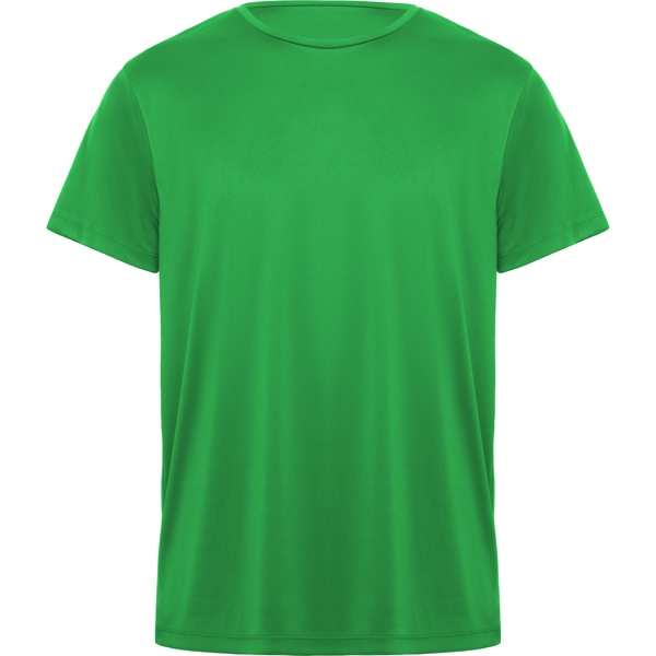 Verde Helecho