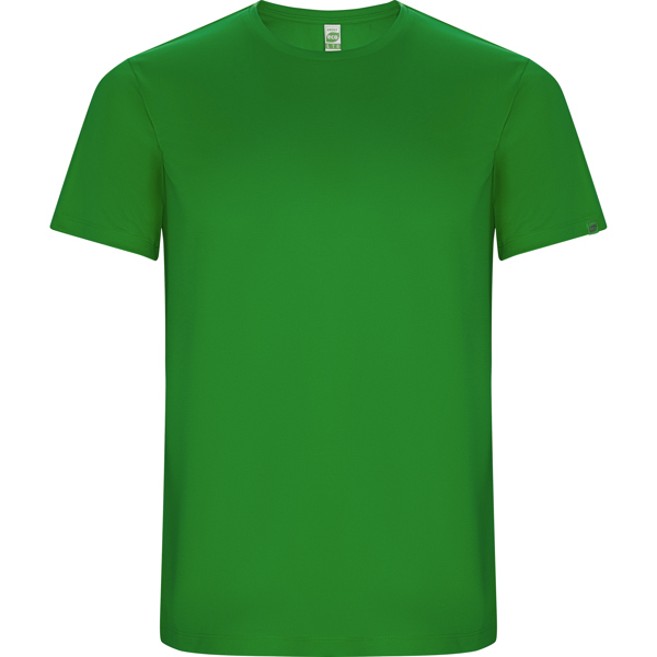 Verde Helecho