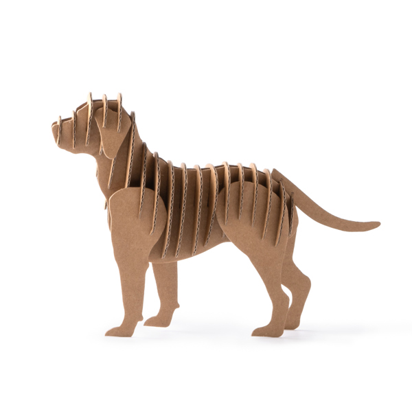 Perro