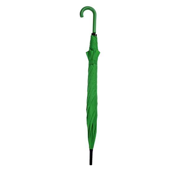 Verde Helecho