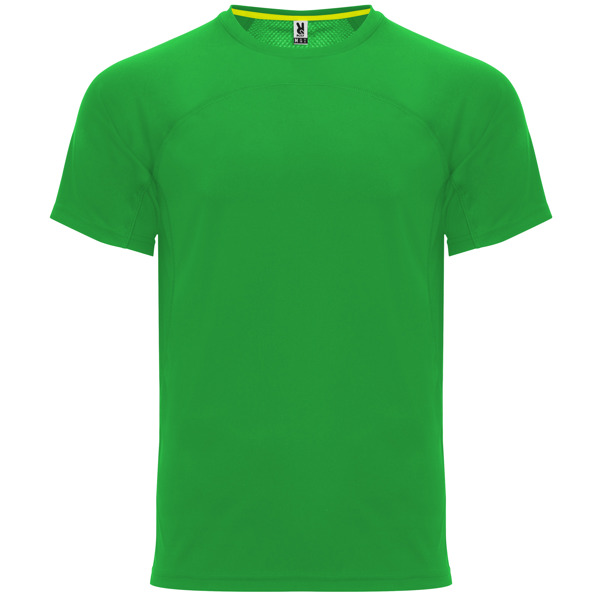 Verde Helecho